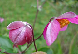 享受過程的樂趣(強烈推薦)
