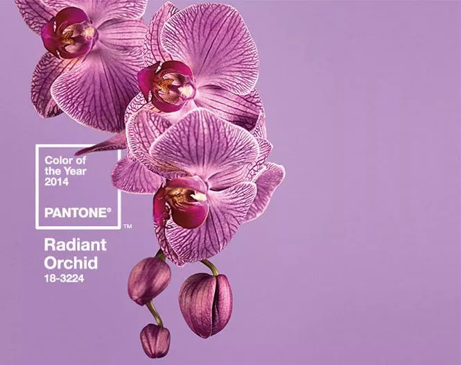 搶先看!2018年度色彩如此神秘又高科技