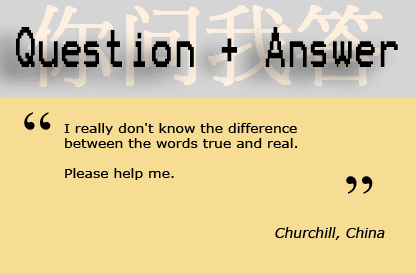 True and Real 真實的/真正的