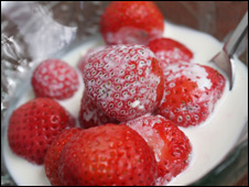 Student Holidays 學生假期旅游