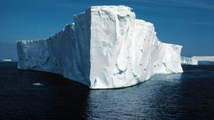 蘇格蘭首創:南極拍攝驚悚片