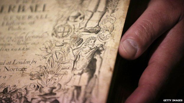 16世紀植物學史藏玄機:年輕莎翁肖像