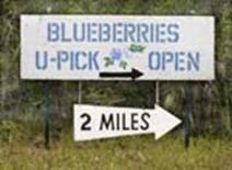 “農家樂”英語怎么說