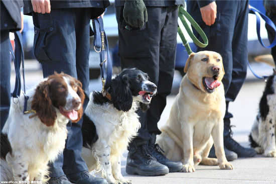 兩會花絮:外長萌手勢 姚明萌表情