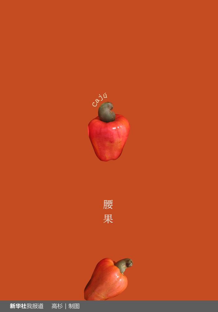 “瘋狂水果城”里約：給你點顏色瞧瞧！