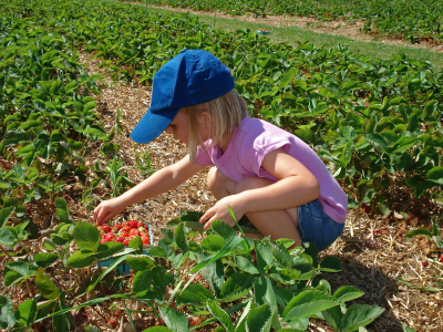 休閑“農家樂”