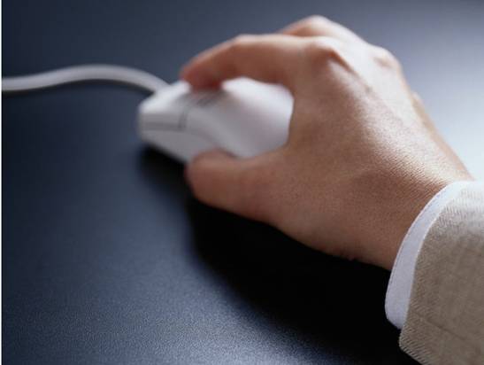 它們都想成為“劃屏終結者”!