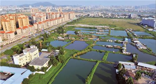 中央一號文件關注城鄉一體化