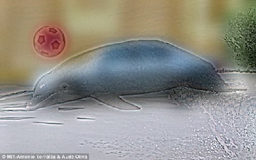 你看到愛因斯坦還是夢露?