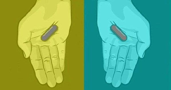 你的色覺夠好嗎?新應用測你的辨色力