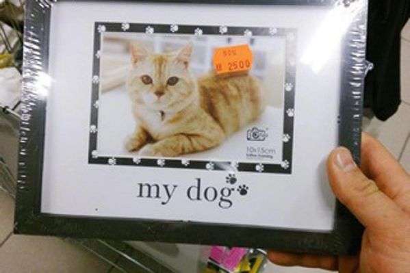 開眼界:神翻譯不只中國有