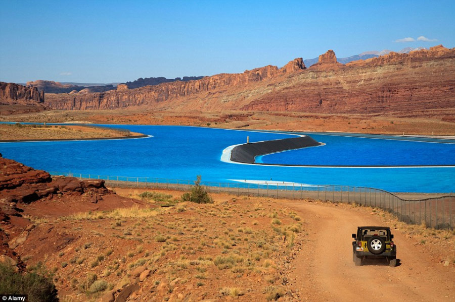 美國荒漠現“五彩池”奇觀