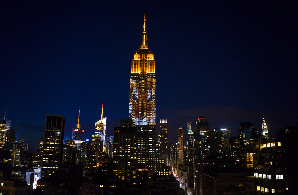 帝國大廈現瀕危動物巨幅投影