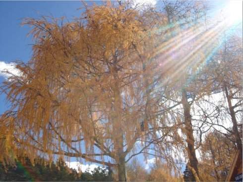 中國成語典故英文翻譯(2)