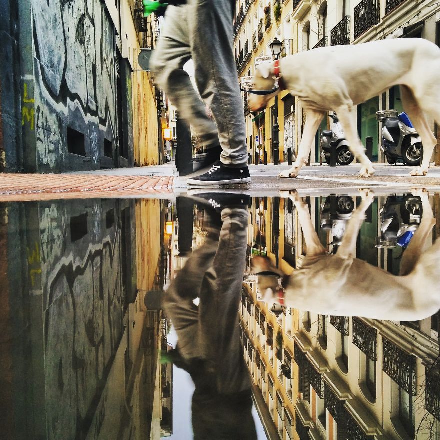 一洼水，倒映一個平行世界