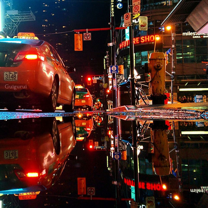 一洼水，倒映一個平行世界