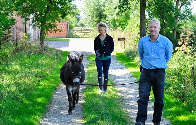 英國3歲小毛驢以為自己是狗 愛遛彎、愛抱抱、愛看網球