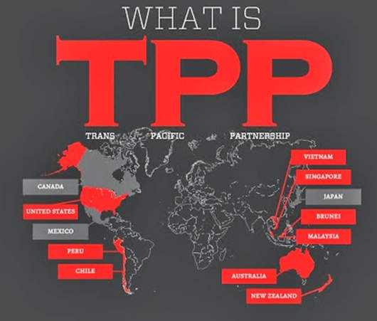 什么是“TPP”?