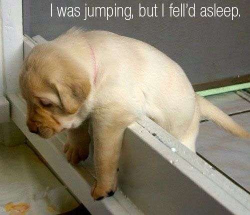 秋天也是“打盹兒”的季節(jié)？