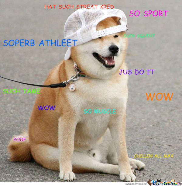 網紅“神煩狗”：你是哪一款？