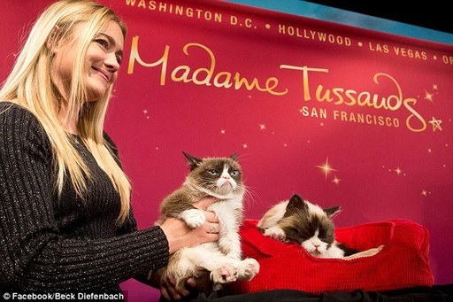 “不爽貓”電子蠟像現身杜莎夫人蠟像館