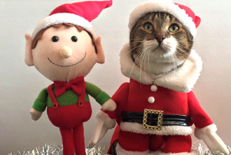 2015圣誕節專題：圣誕老人來了！