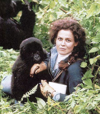 猴年來了:盤點與猴有關的經典電影