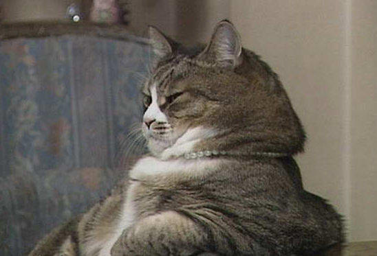 有了這個表,情緒表達不再難