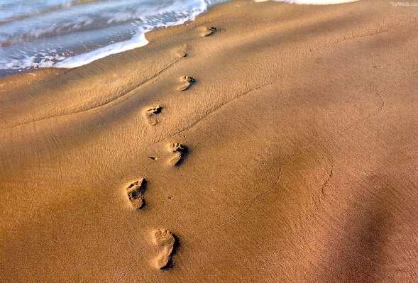 Tip Talk:母親節說說“懷孕”