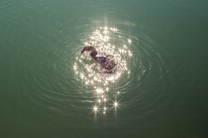 巧合之美：創意攝影作品欣賞（組圖）