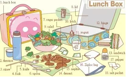 史上最全英語詞匯圖(2)