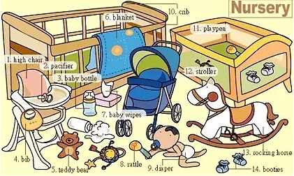 史上最全英語詞匯圖(2)