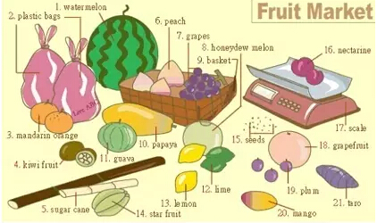 史上最全英語詞匯圖(2)