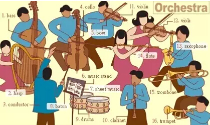 史上最全英語詞匯圖(2)