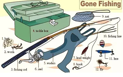 史上最全英語詞匯圖(2)