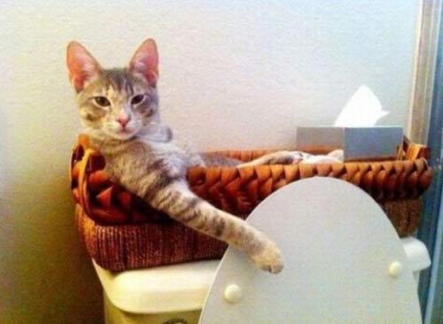 1美元在世界各國(guó)可以買到啥?