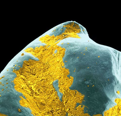 一天應該刷幾次牙?專家教你怎樣刷牙才對牙齒最好