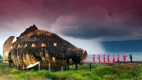 BBC評出21世紀最偉大的100部電影,你看過幾部?(附地址)