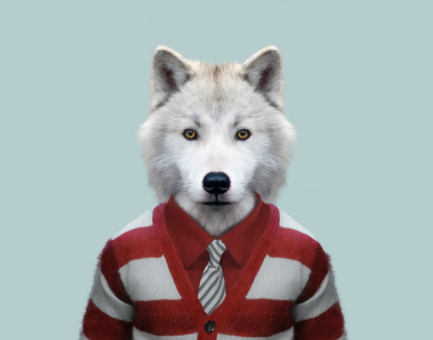 別臭美了：動物穿上衣服比你帥（組圖）