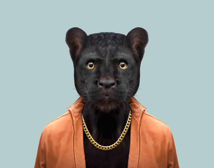 別臭美了：動物穿上衣服比你帥（組圖）