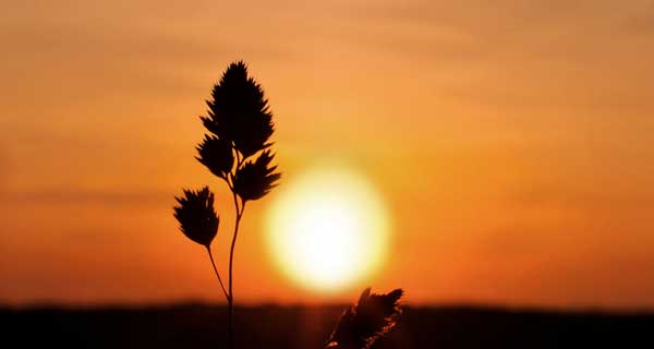 人死的時候身體會發生什么變化呢？