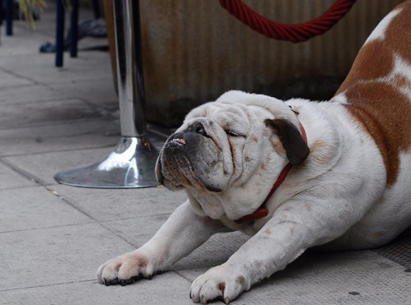 八個簡單妙招包你克服懶惰