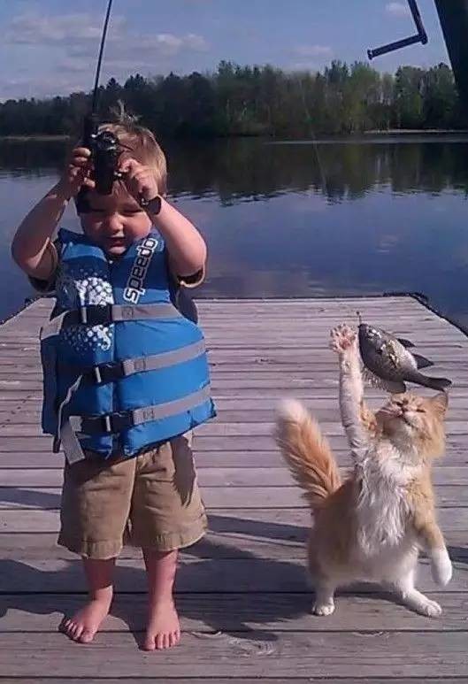 最溫情的抓拍，我的心被治愈了100遍（組圖）