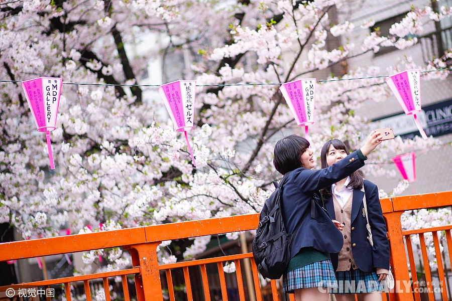 大好春光豈可負？世界各地盡享花海美景（組圖）