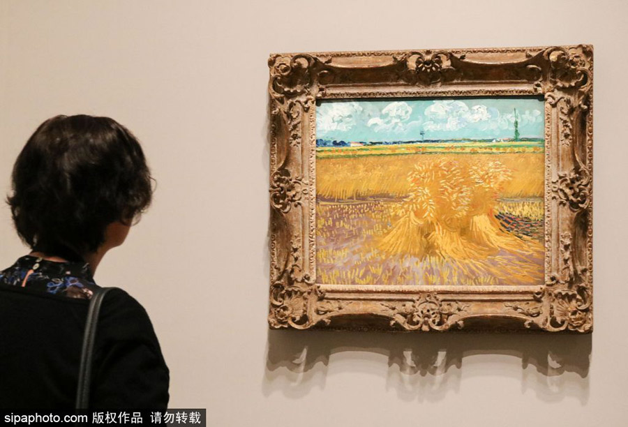 全球獨(dú)家！世界上首個(gè)梵高個(gè)人作品展在墨爾本舉辦（組圖）
