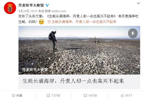 丹麥生蠔泛濫成災(zāi) 中國(guó)吃貨：放著讓我來