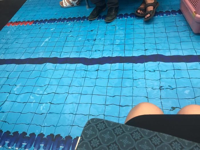 營(yíng)造大運(yùn)會(huì)氣氛 臺(tái)北將地鐵變身為3D體育館（組圖）