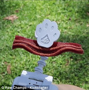 寵物拍照神器，你家汪星人終于能好好照相了！