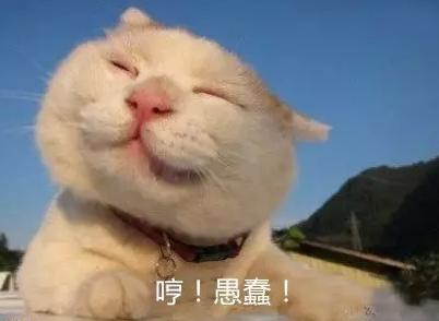 萬萬沒想到！七個讓你驚呼“厲害了”的冷知識