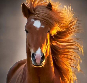 來自你身體的一封信:不許你再欺負我!